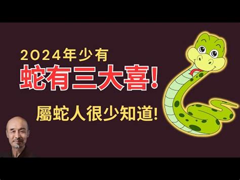 屬蛇幾歲2023 空 風 火 水 地